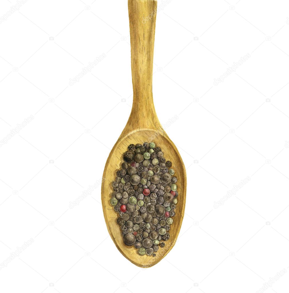 wood spoon with spices