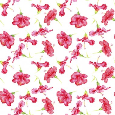 hibiscus çiçek ile Seamless Modeli