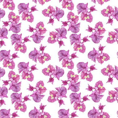 Bougainvillea çiçek ile dikişsiz desen