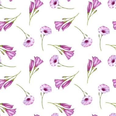 ebegümeci bindweed çiçekler ile dikişsiz desen