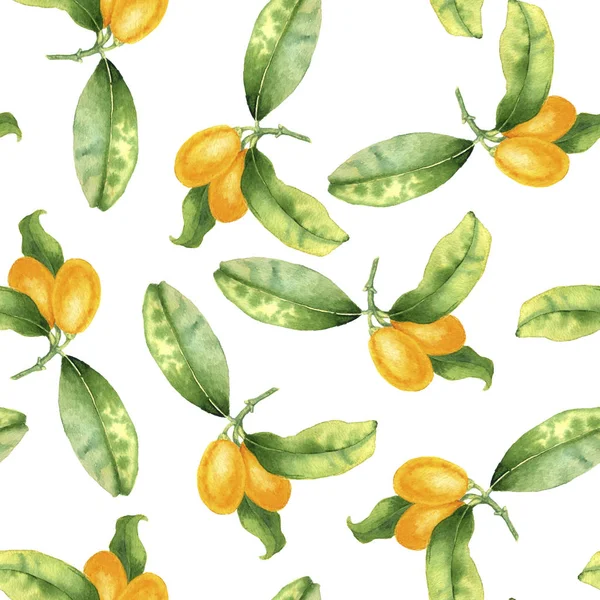 Patrón sin costuras con dibujo kumquats en acuarela — Foto de Stock