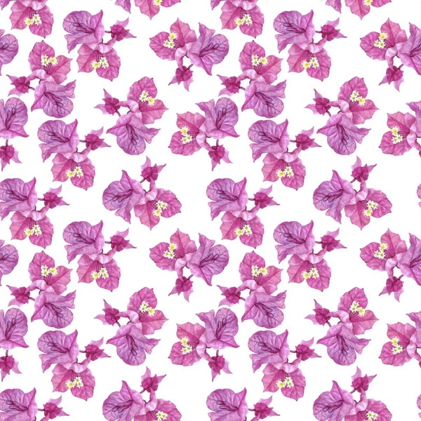 Seamless pattern with Bougainvillea flowers — Stock Photo, Image