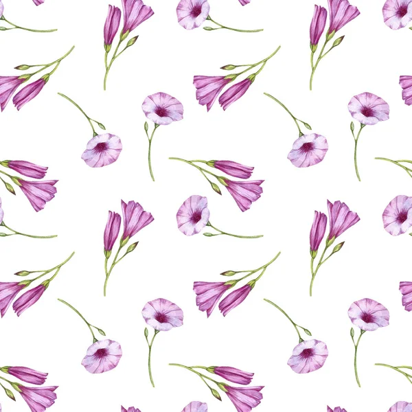 Seamless pattern with mallow bindweed flowers — Stock Photo, Image