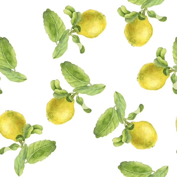 水彩画で描くレモンとシームレスなパターン — ストック写真