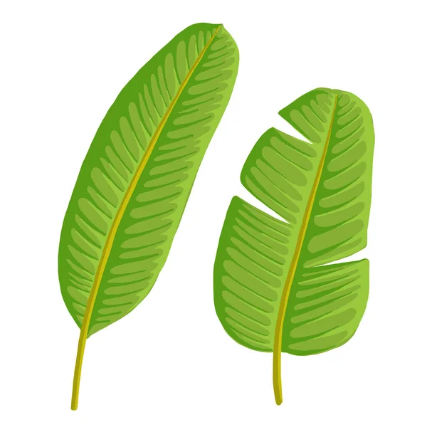 Vektorzeichnung Blätter — Stockvektor