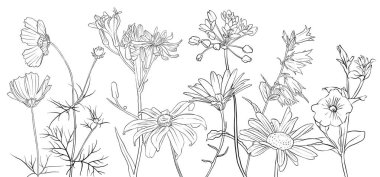 vektör çizimi çiçekleri