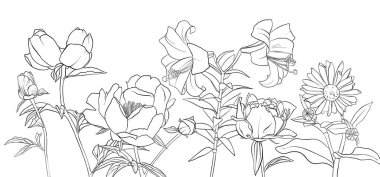 vektör çizimi çiçekleri