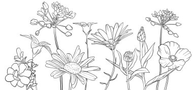 vektör çizimi çiçekleri