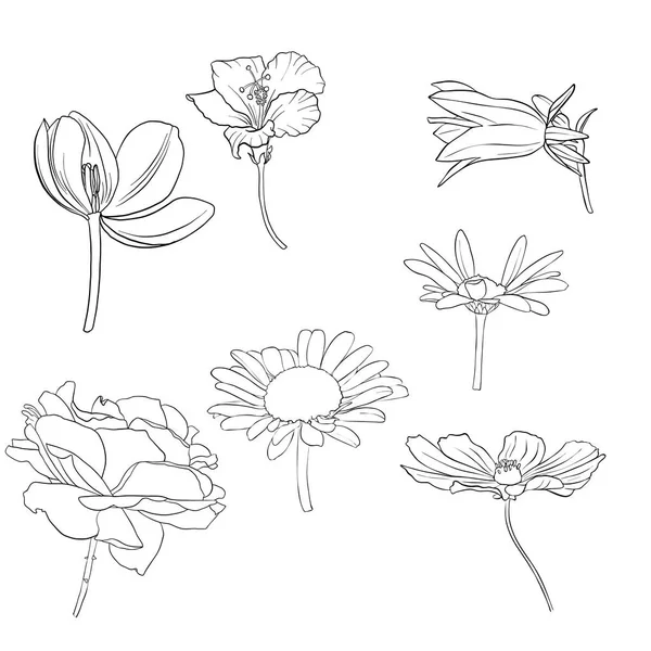 Vector dibujo flores — Vector de stock