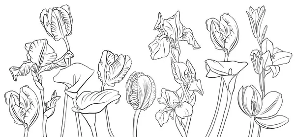 Vectortekening bloemen — Stockvector