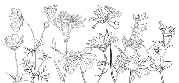Vector dibujo flores — Archivo Imágenes Vectoriales