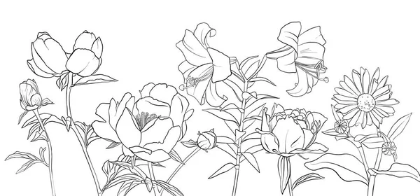 Dessin vectoriel fleurs — Image vectorielle