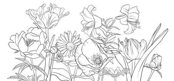 vektör çizimi çiçekleri