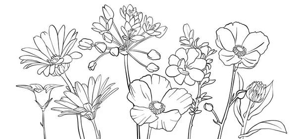 Vectortekening bloemen — Stockvector