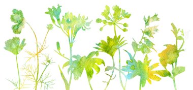 suluboya çiçekler çiziyor