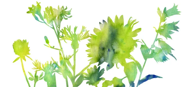 Aquarel tekening bloemen — Stockfoto