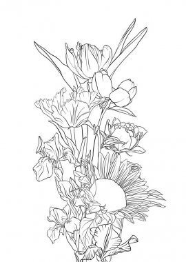 vektör çizimi çiçekleri