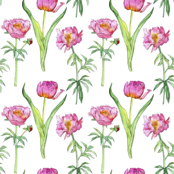 Naadloos patroon met roze pioenroos bloemen — Stockfoto