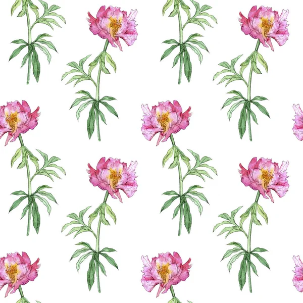Бесшовный узор с розовым цветком пиона — стоковое фото