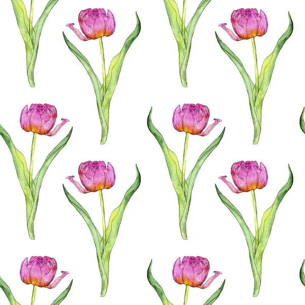 ピンクのチューリップの花のシームレス パターン — ストック写真