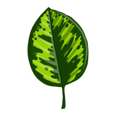 vektör çizim tropikal yaprak