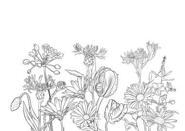 vektör çizimi çiçekleri