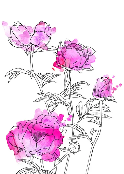 Vector dibujo flores — Archivo Imágenes Vectoriales