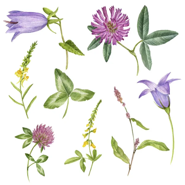 Set aquarel bloemen en planten — Stockfoto