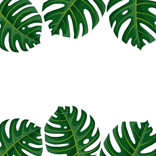 Wektor tropikalne liście — Wektor stockowy