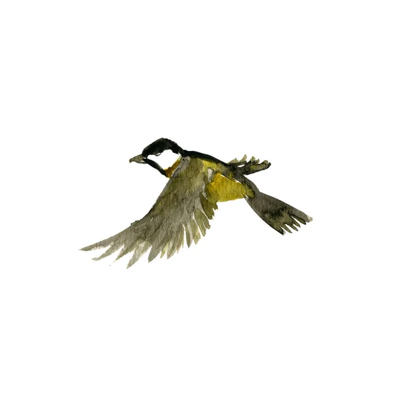 Ακουαρέλα ιπτάμενο πουλί — Φωτογραφία Αρχείου