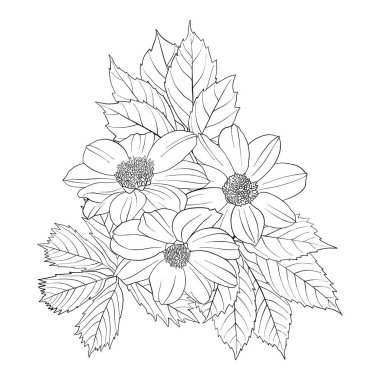 vektör çizimi çiçekleri