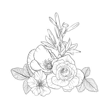 vektör çizimi çiçekleri