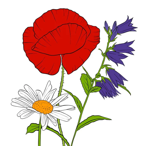 Vektor, der Blumen zeichnet — Stockvektor