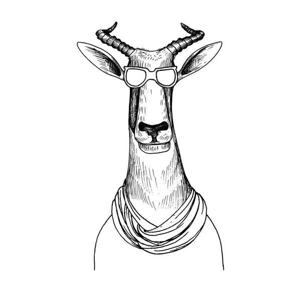 Vector hand drawn head of antelope — Stock Vector