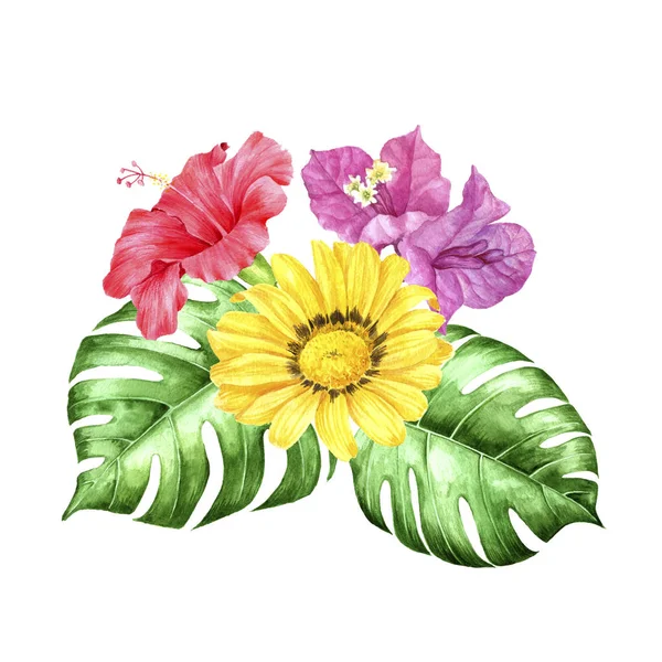 Akwarela rysunek tropikalny kompozycja kwiatowa — Zdjęcie stockowe