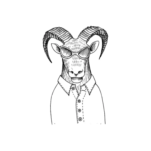 Vector dibujado a mano cabeza de cordero — Archivo Imágenes Vectoriales