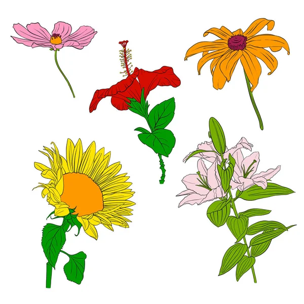 Vector dibujo flores — Vector de stock