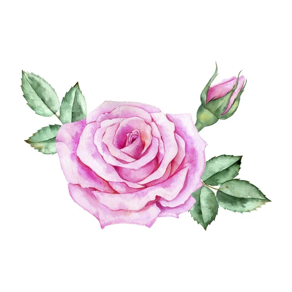 Aquarela desenho flor de rosa — Fotografia de Stock