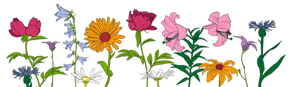 Vektor, der Blumen zeichnet — Stockvektor