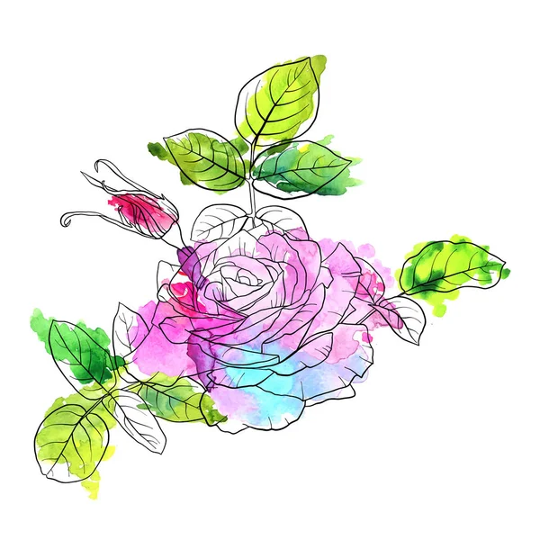 バラの花を描くベクトル — ストックベクタ