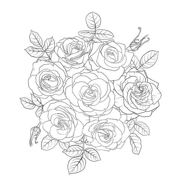 Vektorritning blommor av rosor — Stock vektor