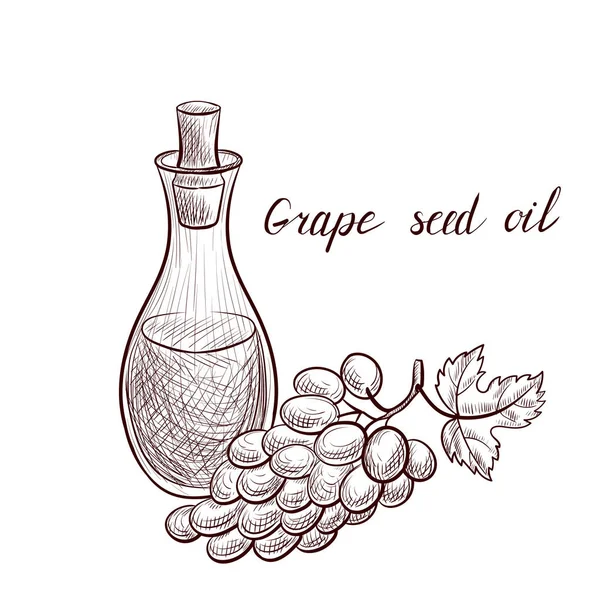 Olej nasiona winogron rysunek wektor — Wektor stockowy
