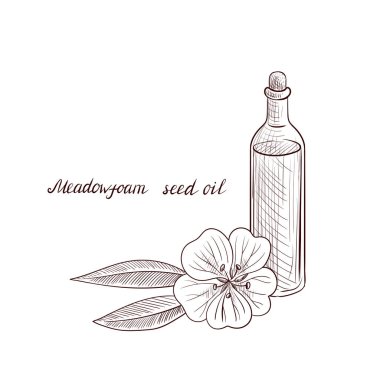 vektör çizim çayır köpük tohum yağı