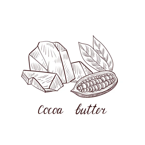 Vector drawing cocoa butter — Stock Vector