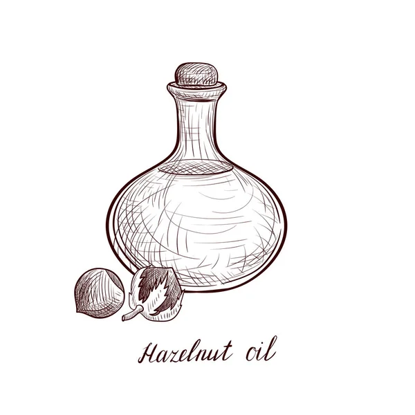 Vector dibujo aceite de avellana — Archivo Imágenes Vectoriales