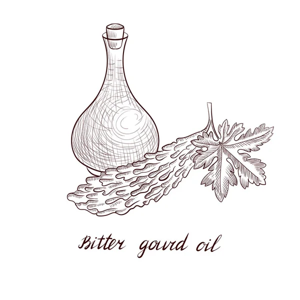 Vettore disegno amaro olio di zucca — Vettoriale Stock