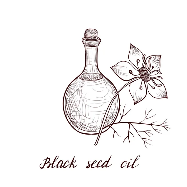 Vector drawing black seed oil — ストックベクタ