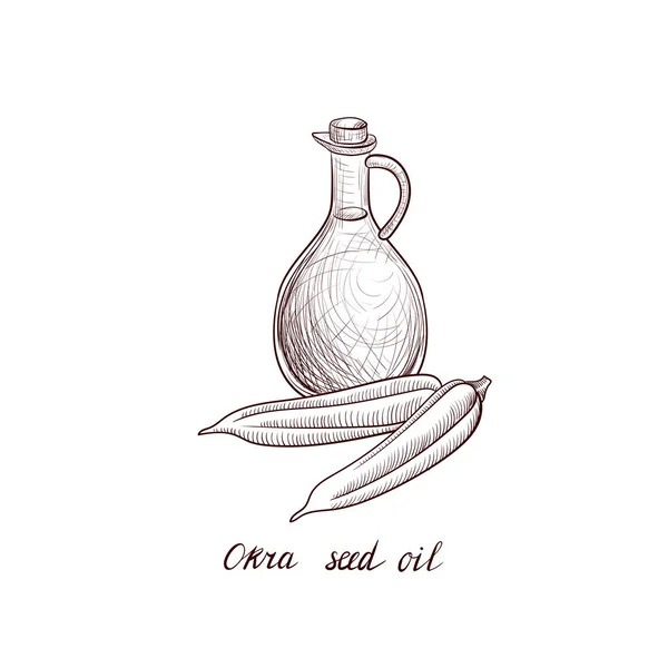 ベクトル描画オクラ種子油 — ストックベクタ