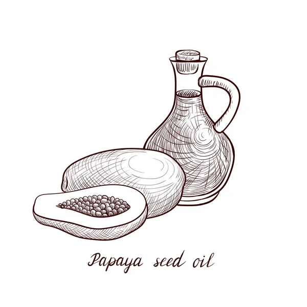 Vektorové kreslení papája olej — Stockový vektor
