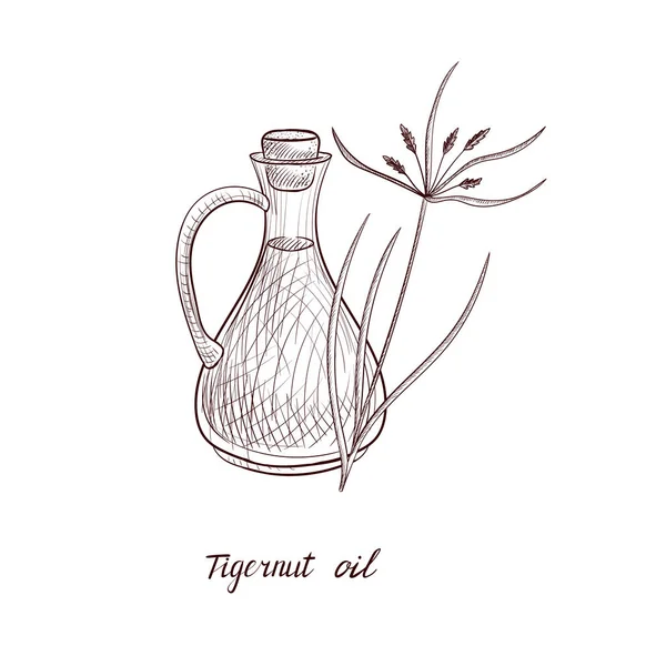 Vector drawing tigernut oil — ストックベクタ